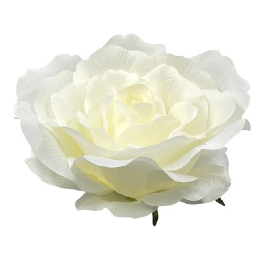 Giant Silk Roses Cream 130cm VM Display Prop Artificial Flowers